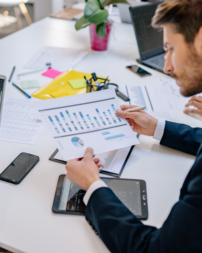 Enterprise Software Consulting